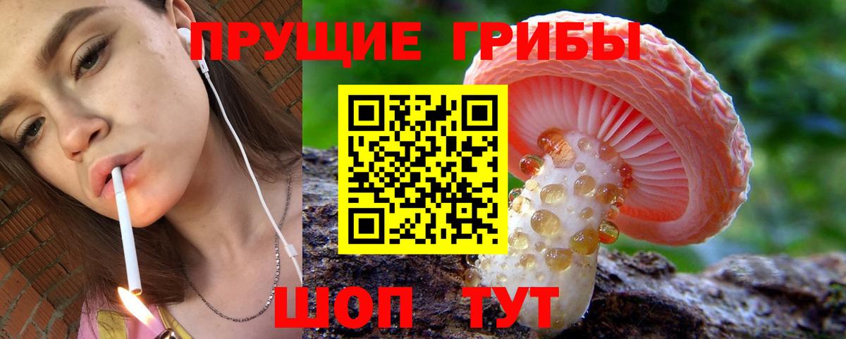 Уварово  Галлюциногенные грибы Psilocybe  Вход с VPN 